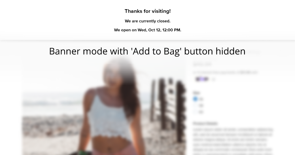 Ecwid We're Open: Open and close your store automatically based on the defined schedule
